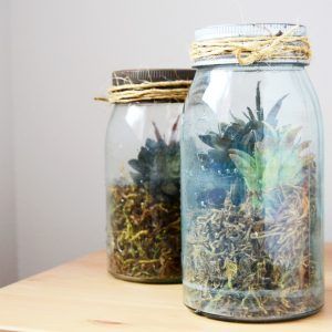 Hemat Budget! Ini 18 Dekorasi DIY Kamar Kosan Kekinian