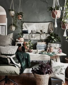 Tanaman Rumah yang Cocok dengan Zodiak Anda? Simak!