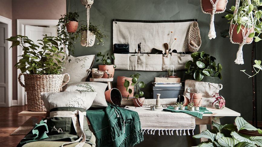 Koleksi Tanaman Hias dan Dekor untuk Pecinta Tanaman