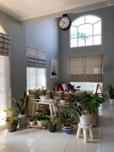 Rumah Artis Berzodiak Gemini ini Penuh Tanaman Hias