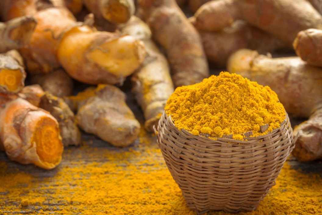 Tanaman Obat Keluarga dengan Khasiat Banyak! Apa Saja? CASA Indonesia