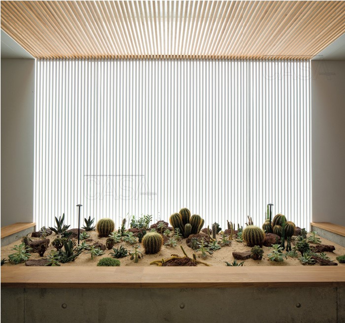 17 Trik Menghadirkan Taman Indoor Pada Rumah