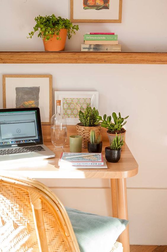 Cek Women’s Life Fest untuk Tanaman Bikin Cuan di 2021 4