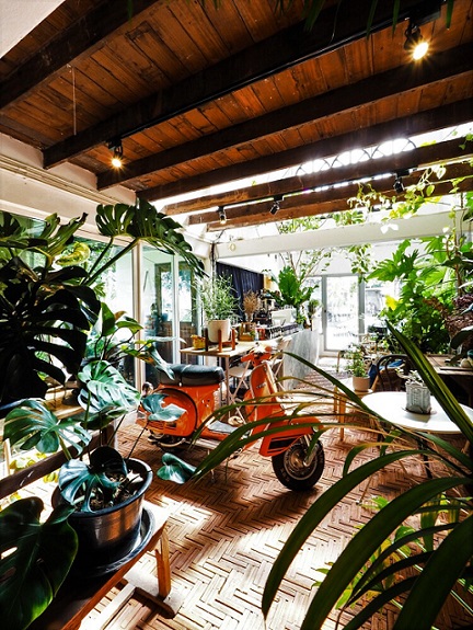 Hutan di Dalam Cafe? Simak Ini! CASA Indonesia