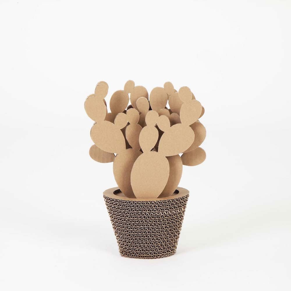 Ayo Sehat! Berantas Corona di Rumah Sehat dengan 10 Tahap Ini