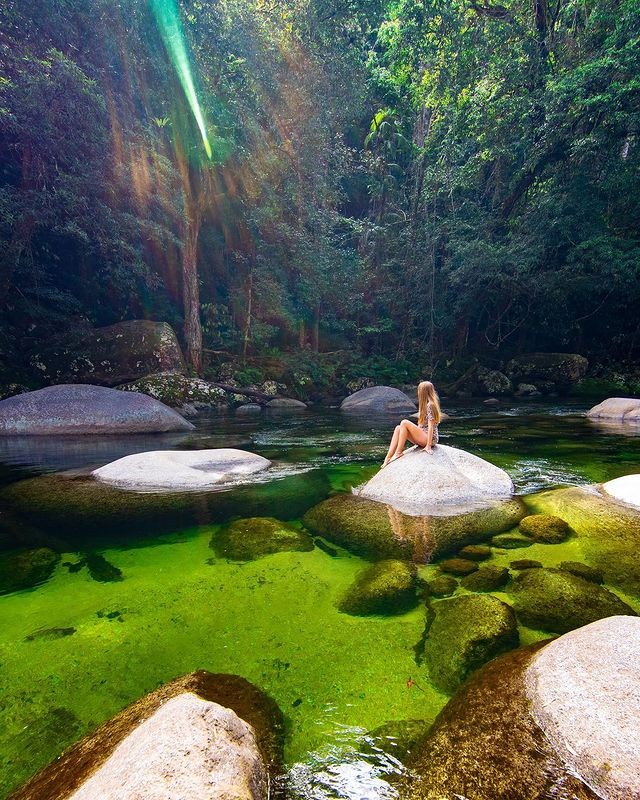 Liburan Unik Anti Mainstream di Australia, Cairns Rainforest