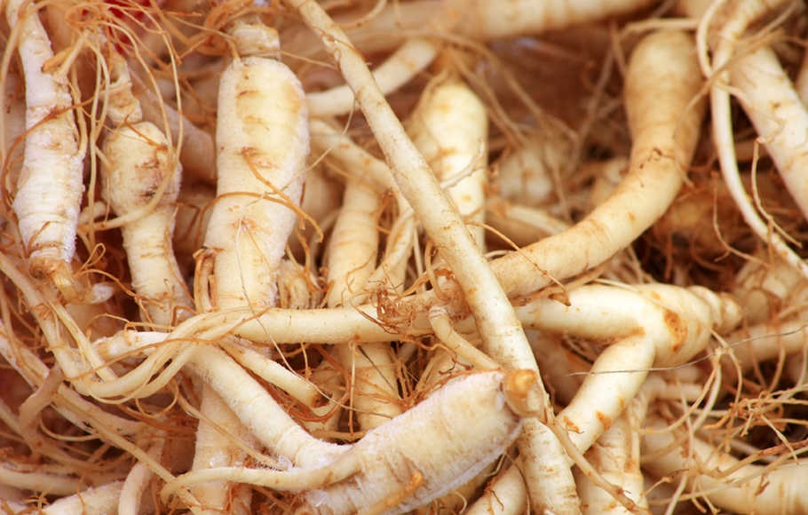 Tanaman Obat Keluarga dengan Khasiat Banyak! Apa Saja? CASA Indonesia