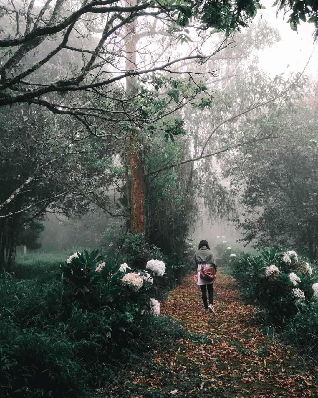 Keren banget! 30 Tempat Instagrammable di Indonesia