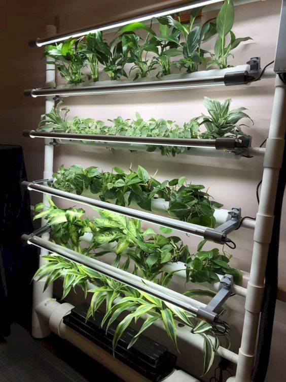 Pipa sebagai material utama untuk membangun sistem hidroponik / Decorathing