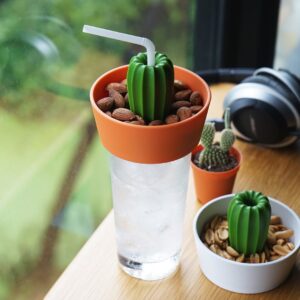 10 Pernak Pernik Bentuk Tanaman Hias Kaktus Super Lucu