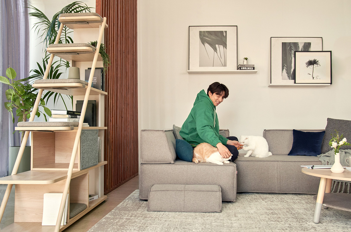 Pencinta Kucing Pasti Suka Perabot Aktor Korea Gong Yoo