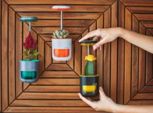 Bercocok Tanam Di Mana Saja dengan Pot ini