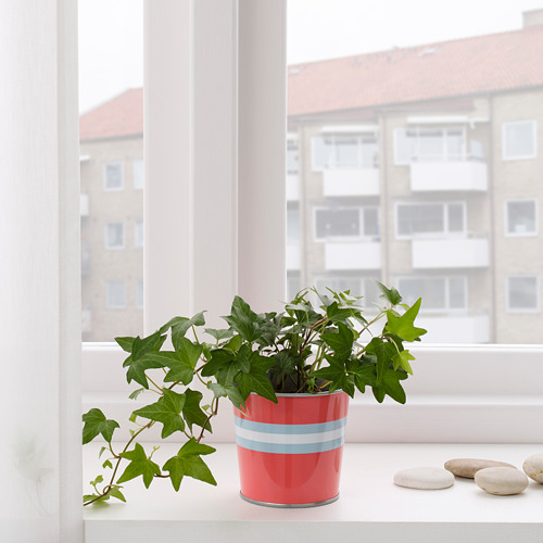 Di Bawah 50 Ribu! Ayo Borong 10 Pernak-Pernik Ikea Ini