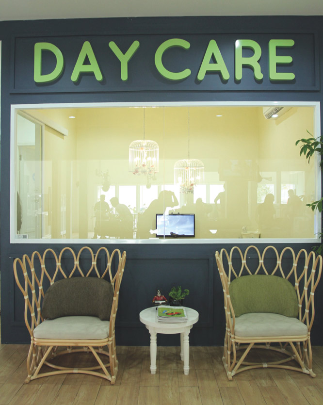 Rayakan International Dog Day & Manjakan Mereka di salon spa anjing kemang casa indonesia