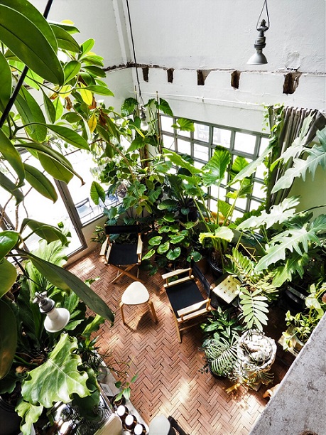 Hutan di Dalam Cafe? Simak Ini! CASA Indonesia