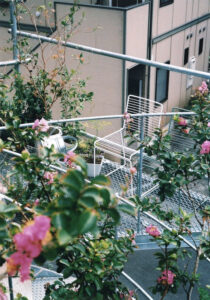 Merancang Rumah Tanpa Tembok, Arsitek ini Gunakan Pipa