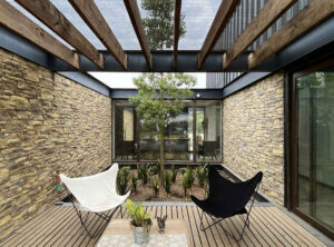 Rumah Tampil Cantik Dengan 5 Tanaman Hias Batang Ini