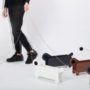 Solusi Larangan Bagi Pecinta Binatang di Apartemen