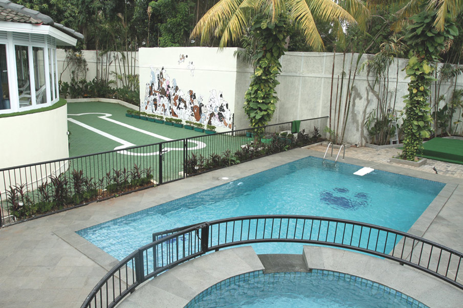 Rayakan International Dog Day &#038; Manjakan Mereka Di Sini