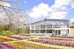Liburan Ke Jepang Wajib Ke Starbucks Tercantik di Dunia