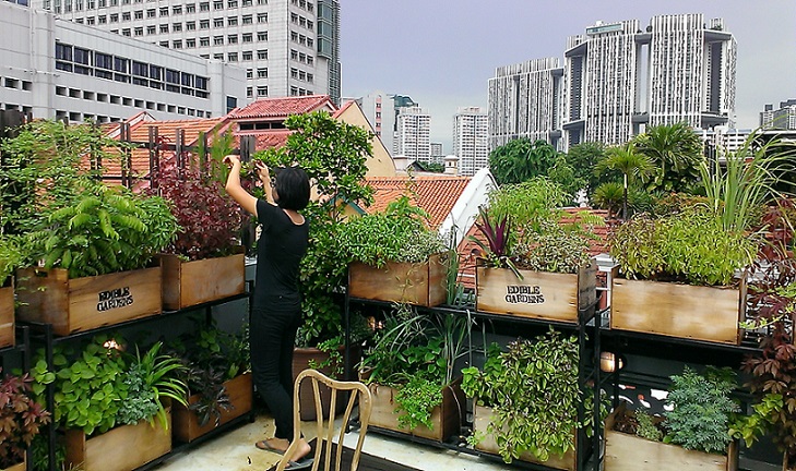 10 Tips Membuat Rooftop Garden Lengkap dengan Gambar CASA Indonesia