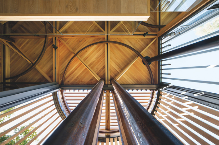 Apa itu Desain Biophilic dan Bagaimana Penerapannya?