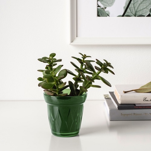 Di Bawah 50 Ribu! Ayo Borong 10 Pernak-Pernik Ikea Ini