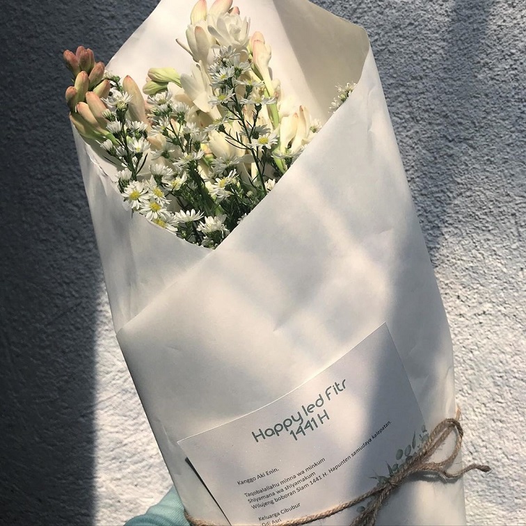 Belanja Tanaman Online Hanya di Urban Jungle! Diskon!!! casa indonesia tokopedia