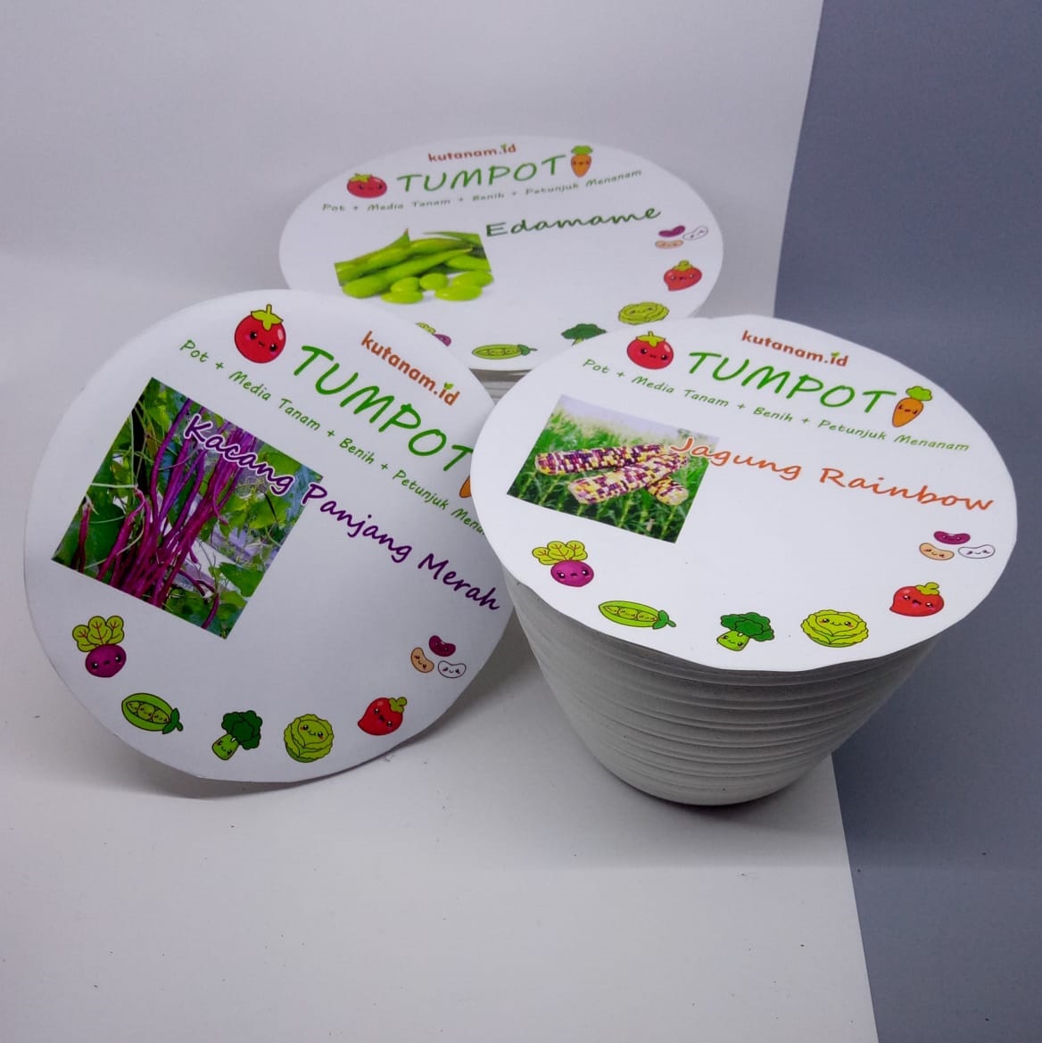 Belanja Tanaman Online Hanya di Urban Jungle! Diskon!!! casa indonesia tokopedia