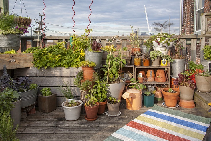 10 Tips Membuat Rooftop Garden Lengkap dengan Gambar CASA Indonesia