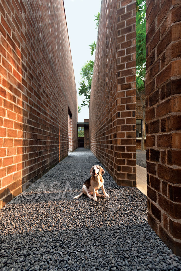 Studio Air Putih @ Batu Bata sebagai tren desain kantor terbaru