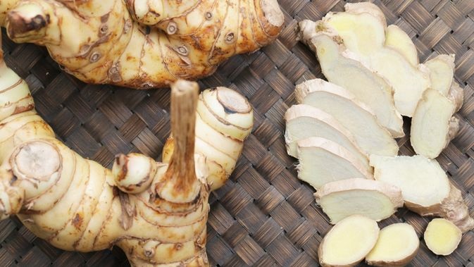 Tanaman Obat Keluarga dengan Khasiat Banyak! Apa Saja? CASA Indonesia