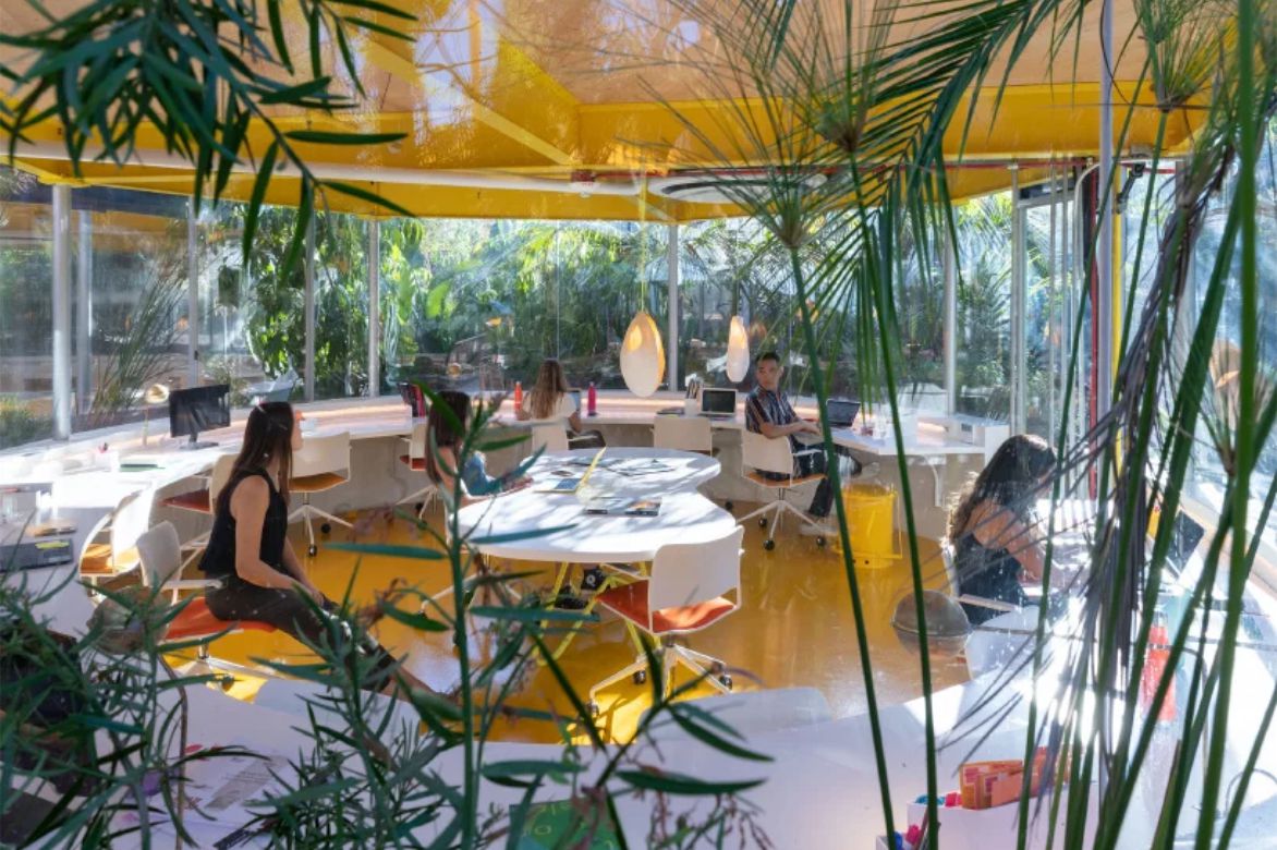 Intip Co-Working Space Unik Dengan Suasana Hutan Kota