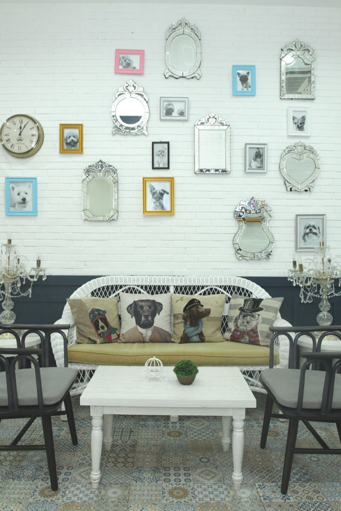 Rayakan International Dog Day & Manjakan Mereka di salon spa anjing kemang casa indonesia