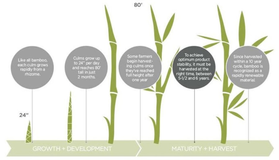 Bambu Bagus Diterapkan Dalam Interior, Kok Bisa? CASA Indonesia