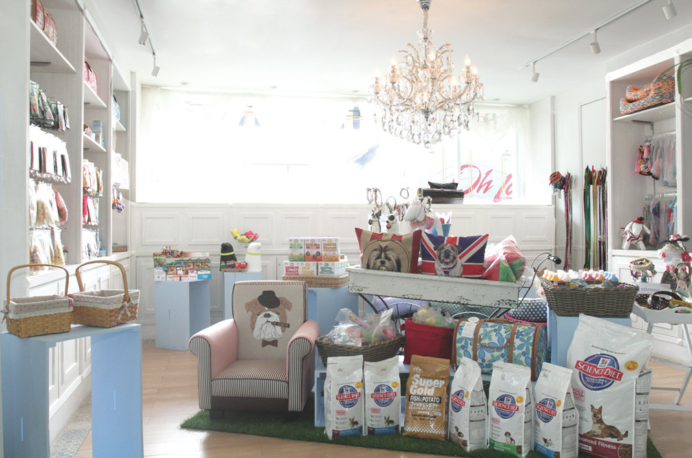 Rayakan International Dog Day & Manjakan Mereka di salon spa anjing kemang casa indonesia