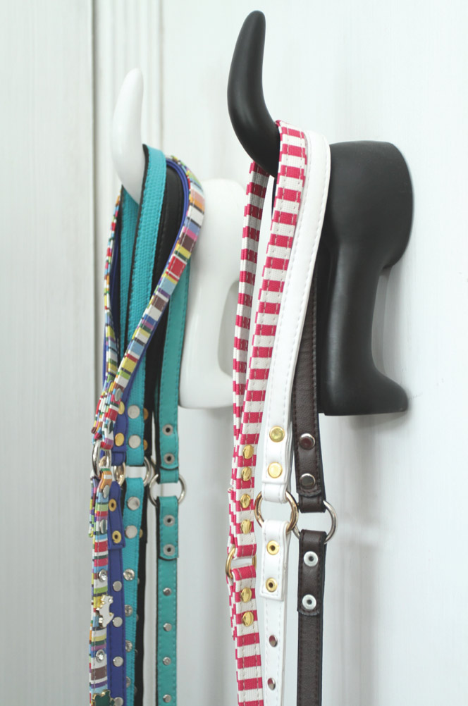 Rayakan International Dog Day & Manjakan Mereka di salon spa anjing kemang casa indonesia